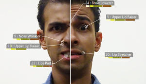 7 Emoções Básicas Universais - Expressão Facial da Emoção - Figura 1 - Freitas-Magalhães, A. & Ferreira, C. (2017). F-M FACS 2.0: Human Faces (F-MF2.0-HF). Porto: Facial Emotion Expression Lab.